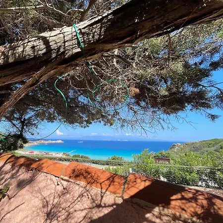 Casa Captain Howard Blackburn - Fronte Mare Con Giardino - *