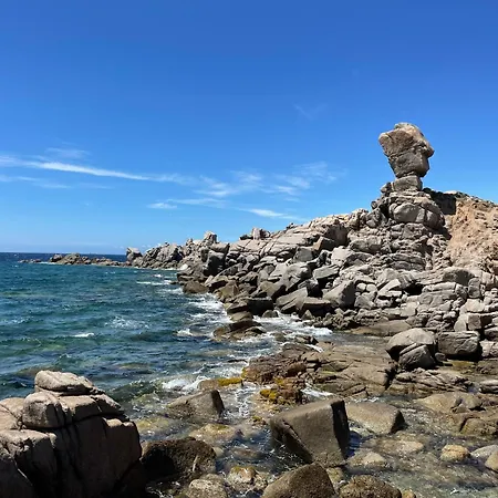 Casa Captain Howard Blackburn - Fronte Mare Con Giardino - Prázdninový dům Santa Teresa Gallura